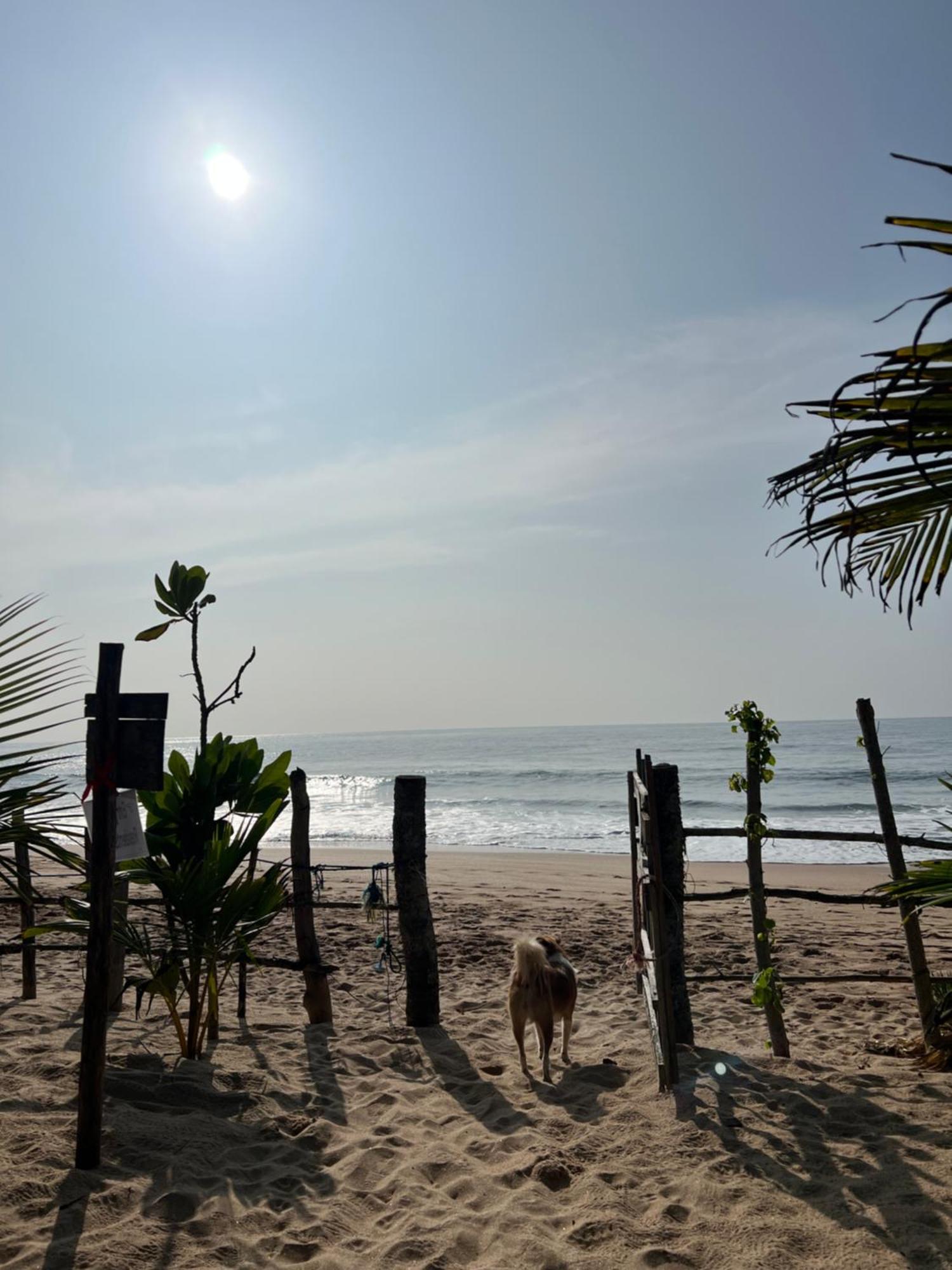 Villasiri And Leon Beach Paradise Tangalle Dış mekan fotoğraf